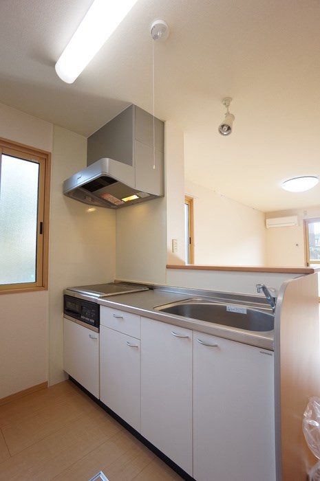 ボナール・カメリア その他2