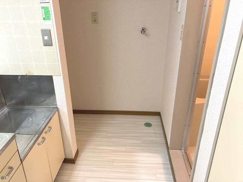 ﾒｿﾞﾝ･ｻﾜ その他1