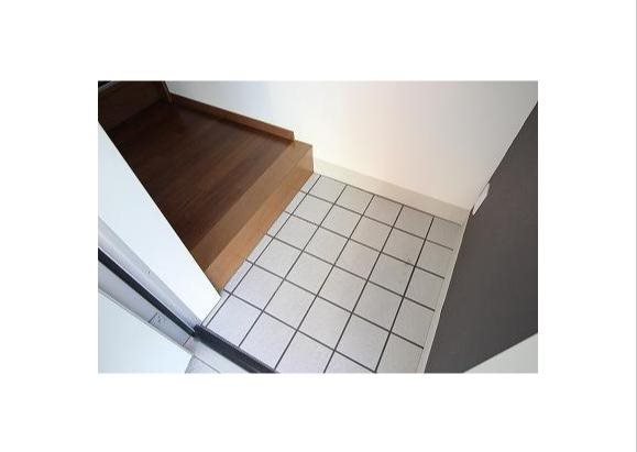 エトピリカ その他4