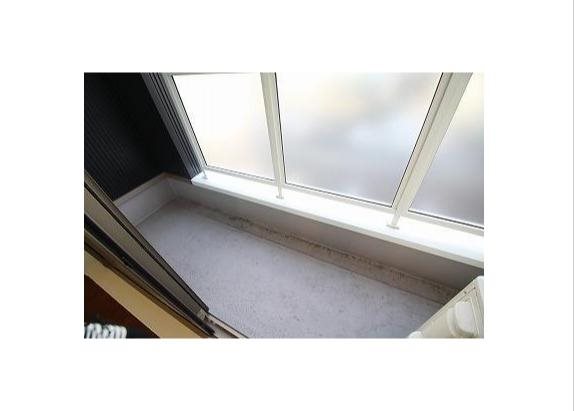 エトピリカ その他5