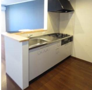 エトピリカ その他7