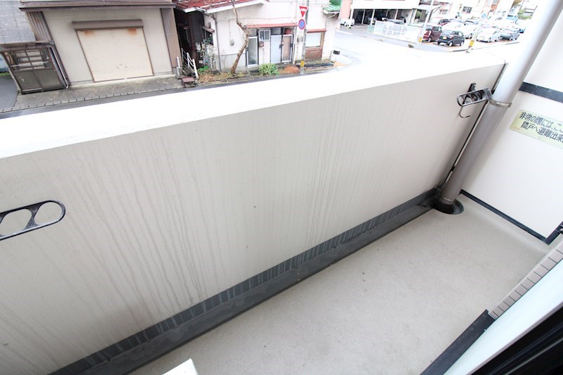 コートシャンベル その他7