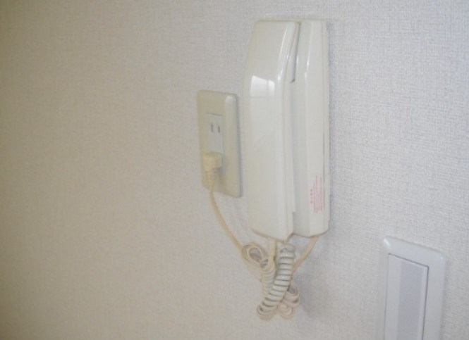 グリーンベールKAMEDA その他9