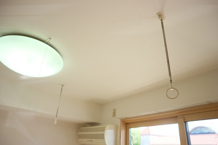 アムール その他11