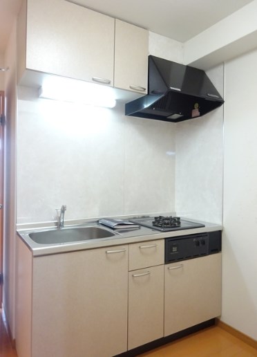 インプレスコート その他2