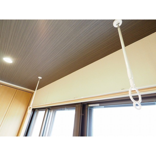 フェリシア柳都 その他11