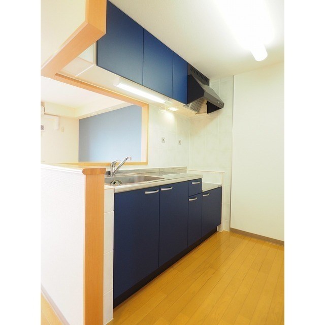 フェリシア柳都 その他2