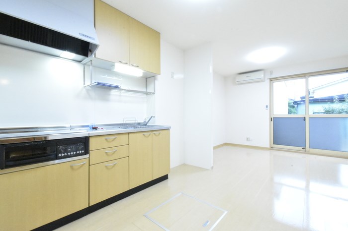 ヴィータ  その他2