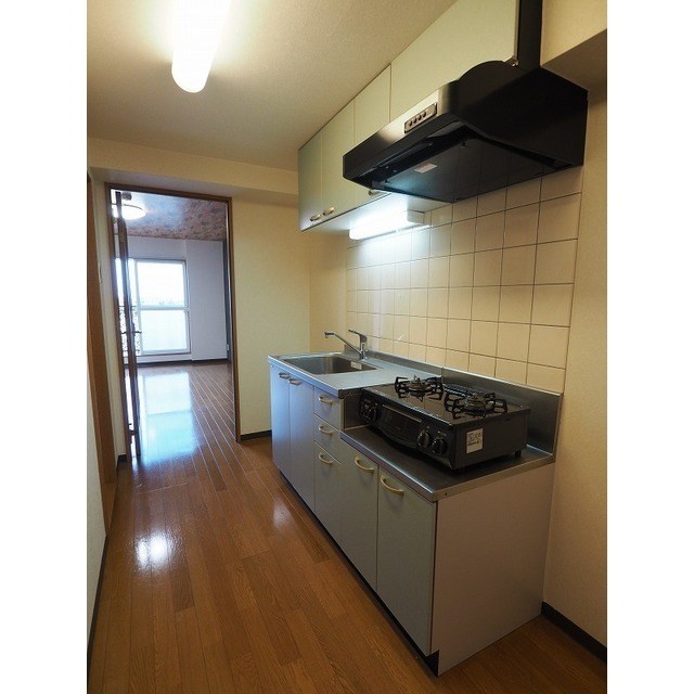 パークサイドグリッター弁天 その他2