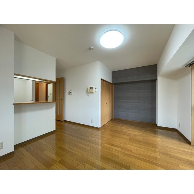 ディナミス その他1