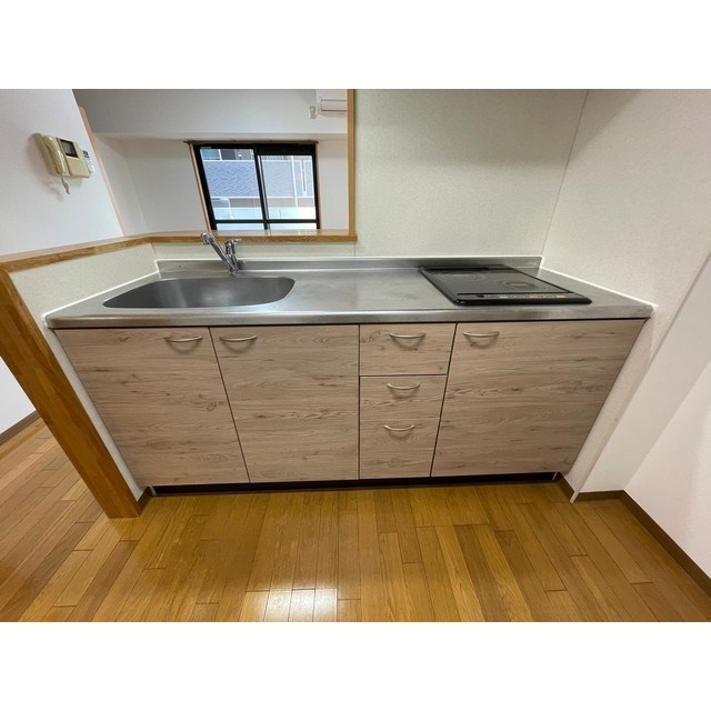 ディナミス その他2