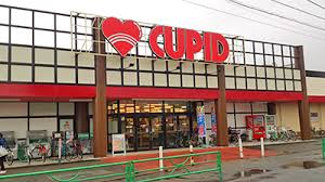 シャンヴィラージュ 周辺画像5