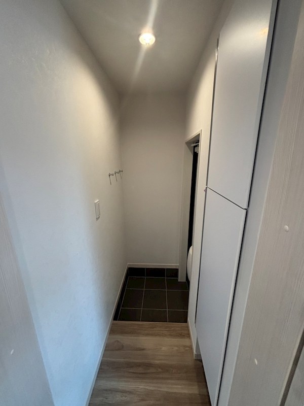 ＷＩＬＬＳ田中町 その他4