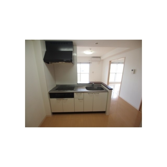 フェリシア鐙 その他2