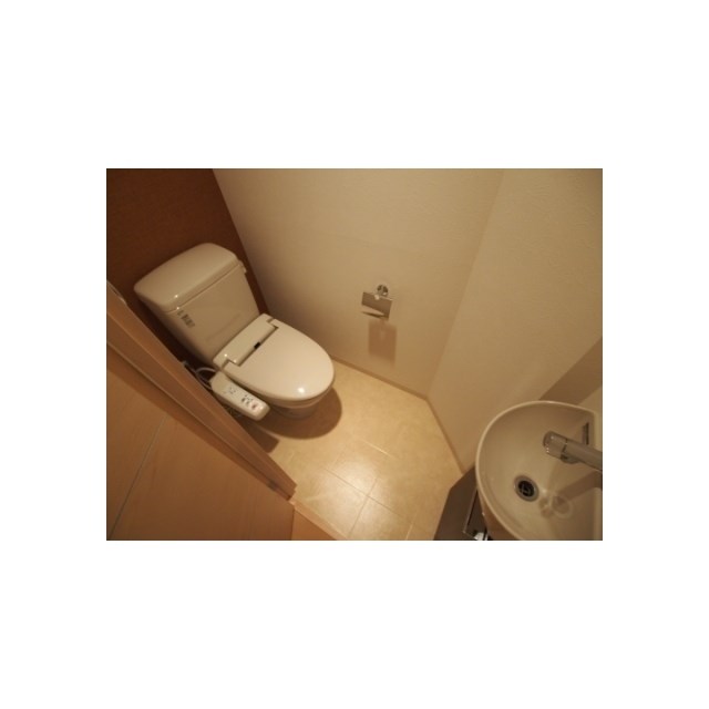 フェリシア鐙 その他4