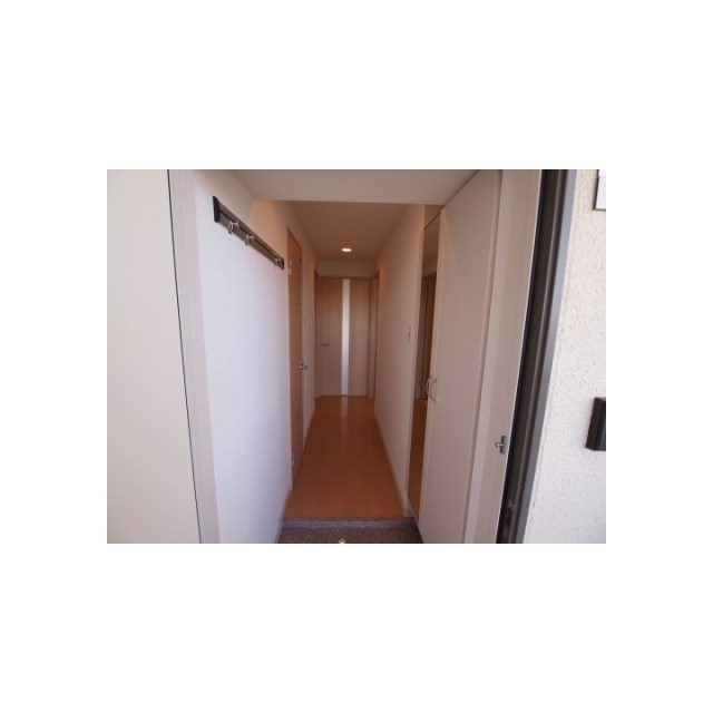 フェリシア鐙 その他6