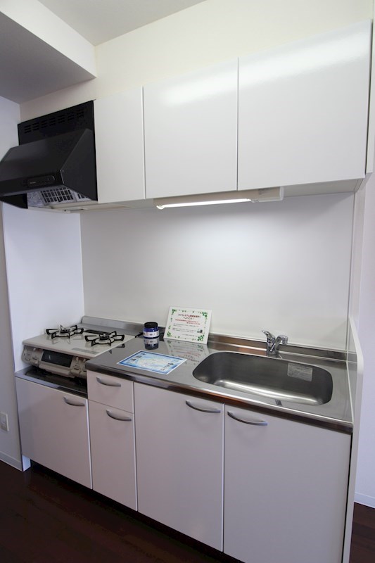 ASプレミアム関屋金衛町 その他3