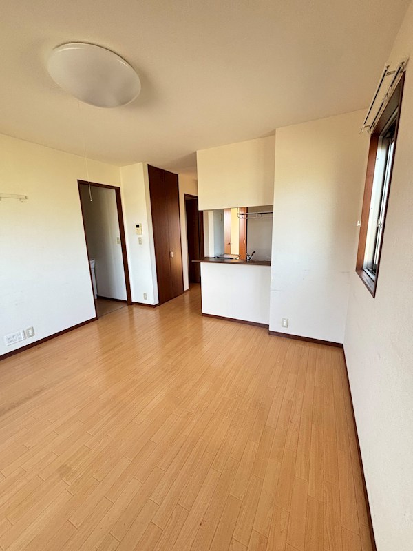 エトピリカ その他1