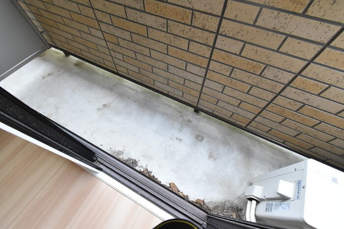 メゾンエトワール雲雀町 その他10