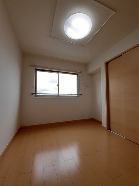 プラシード その他2