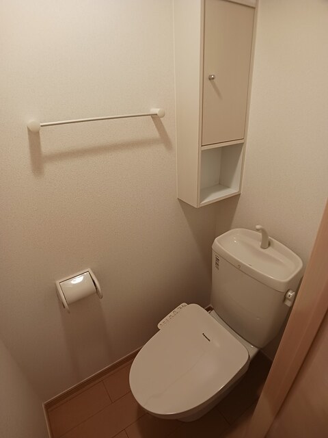 プラシード その他4