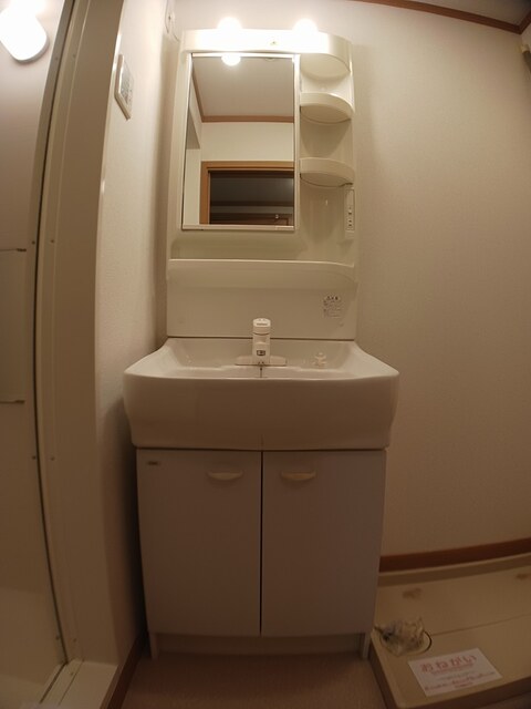 プルメーリア その他1