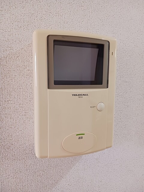 プルメーリア その他3