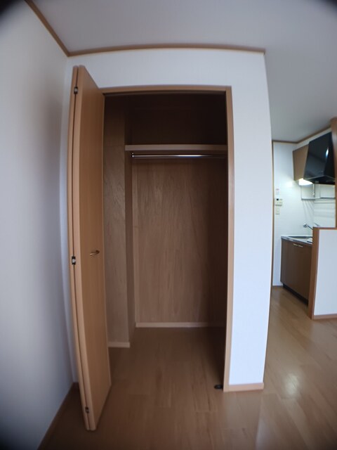 プルメーリア その他5