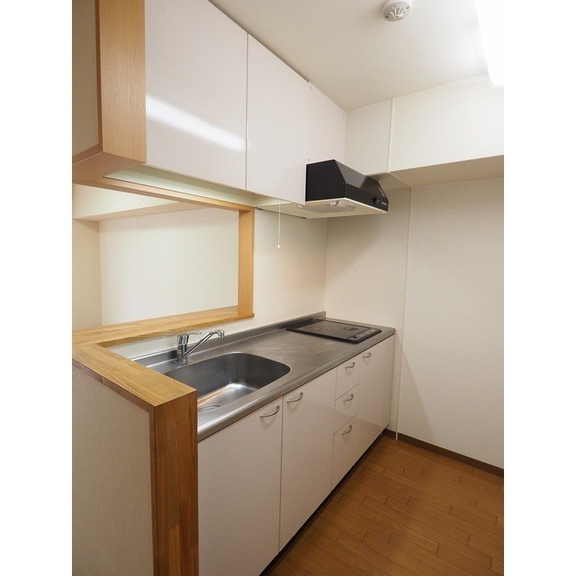 ディナミス その他2