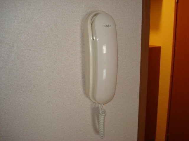 アルビレオパーク その他12