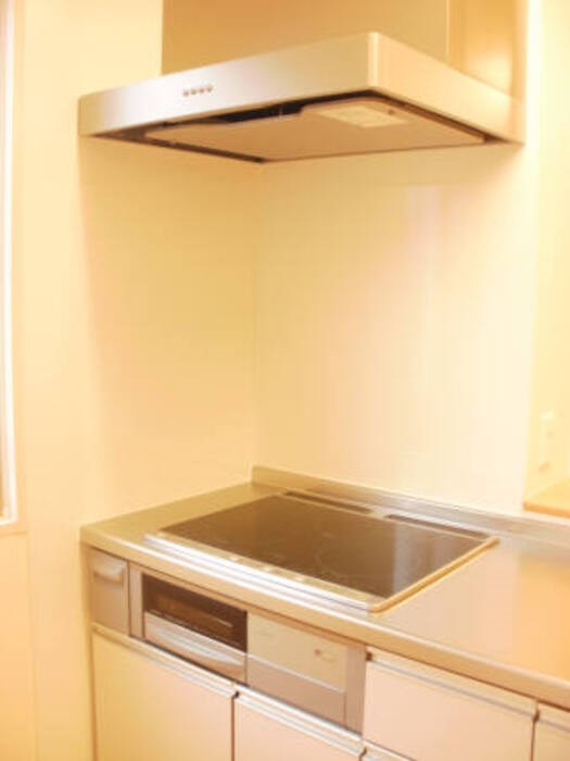 アステールⅡ その他2