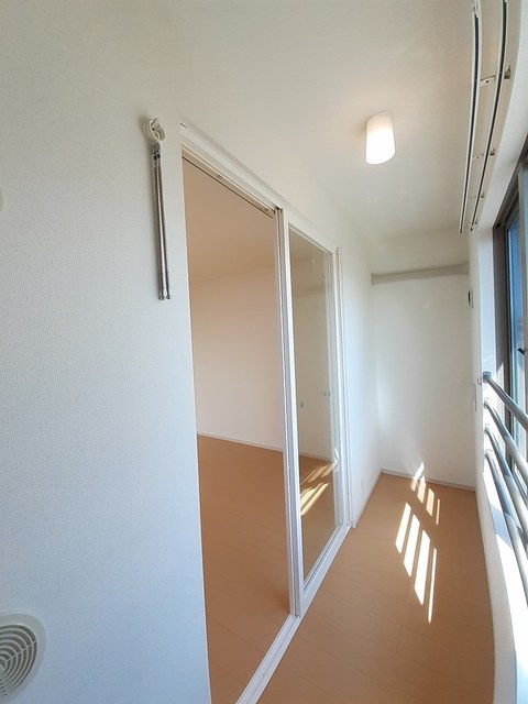 イハナＢ その他3