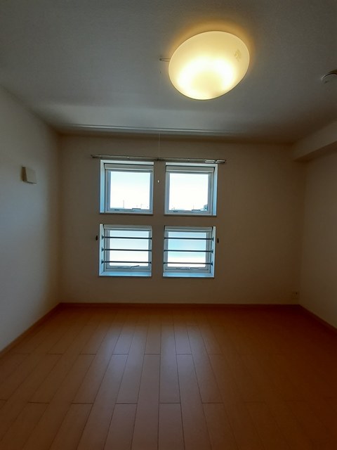 エアーウエスト その他2