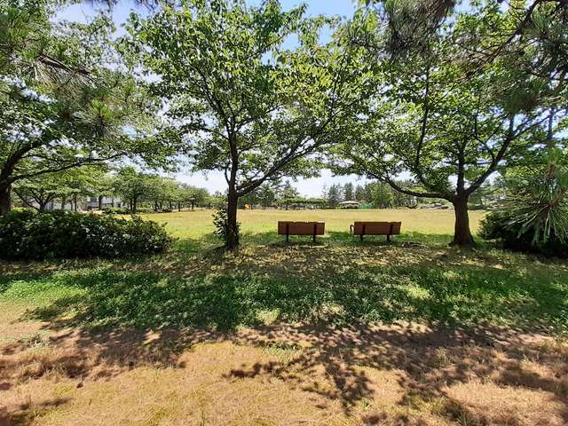 エアーウエスト その他外観2