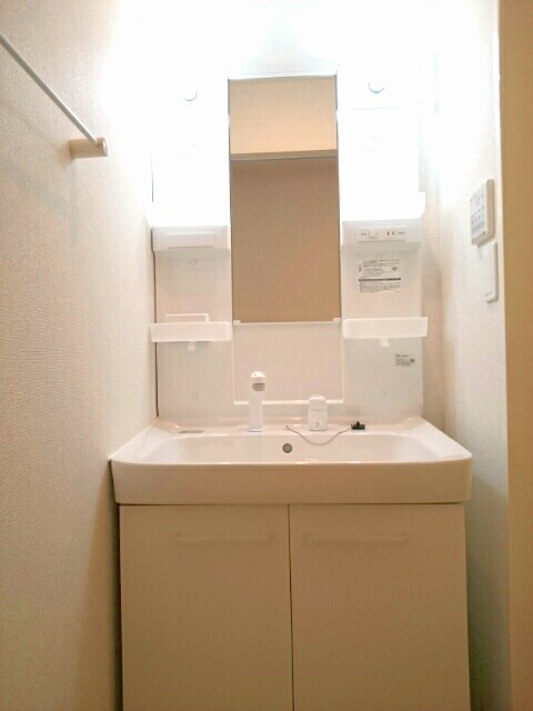 スワン その他2