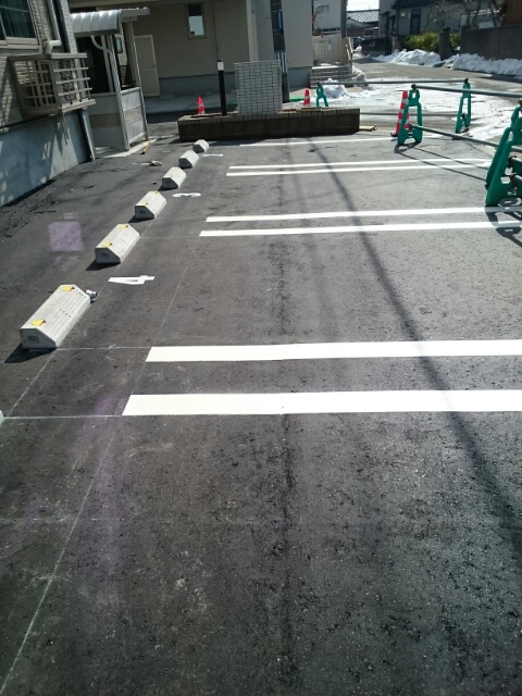 スワン その他4