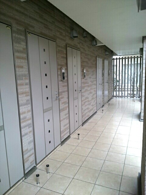 スワン その他5