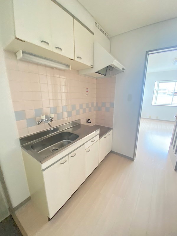 クレセントヴィーグル その他2