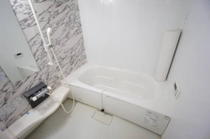 ファミール・カメリア その他3