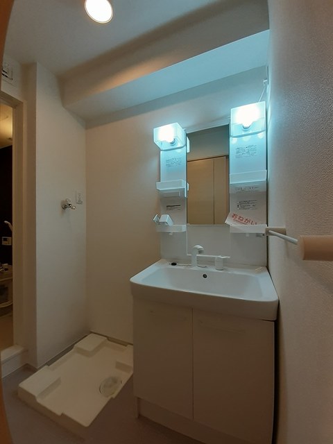 カサフェリスＣ その他1