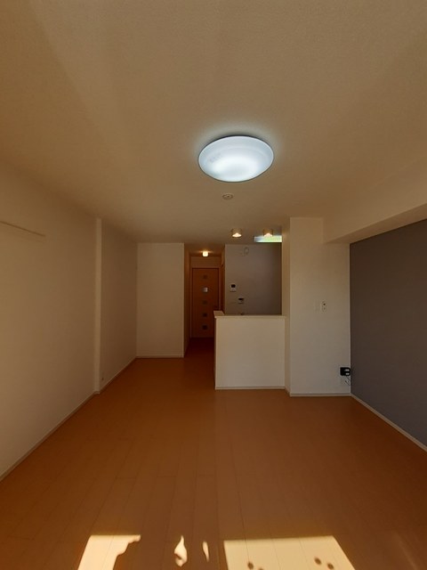 カサフェリスＣ その他2