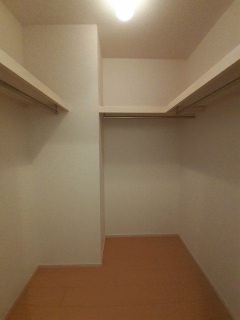 カサフェリスＣ その他5