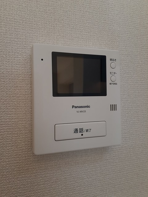 カサフェリスＣ その他6