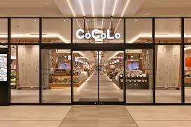 ＣＵＥＳ米山 周辺画像5