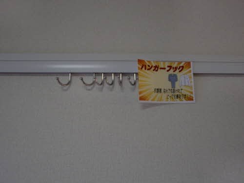 ステラ その他11