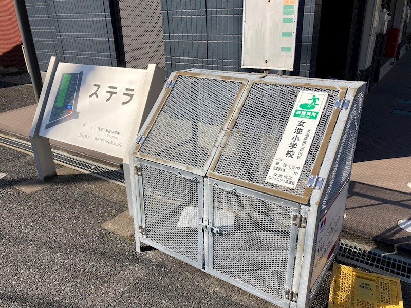 ステラ その他12