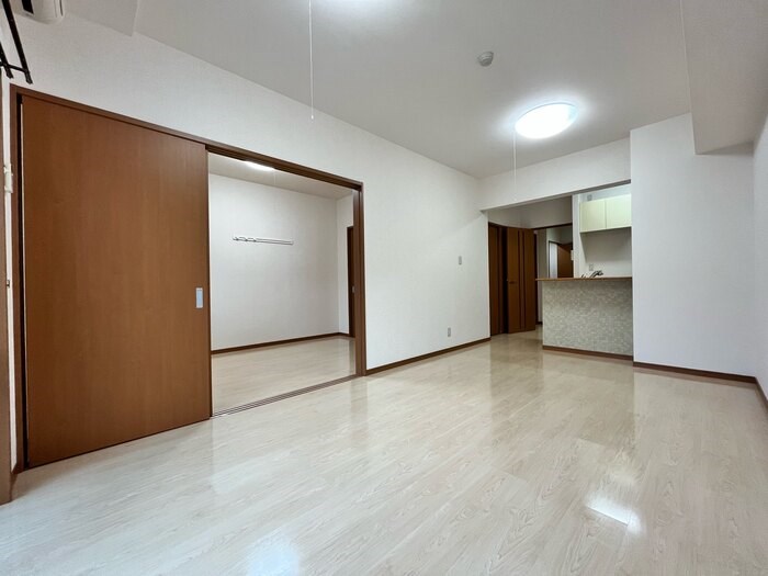 セリージャデトーア その他1