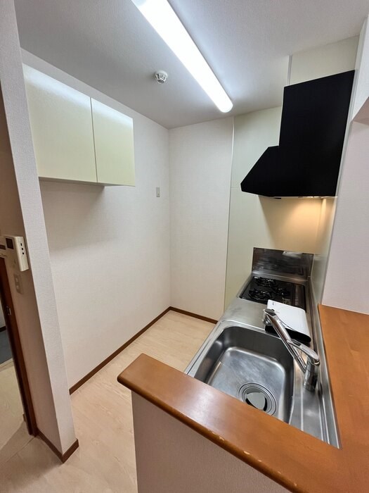 セリージャデトーア その他3