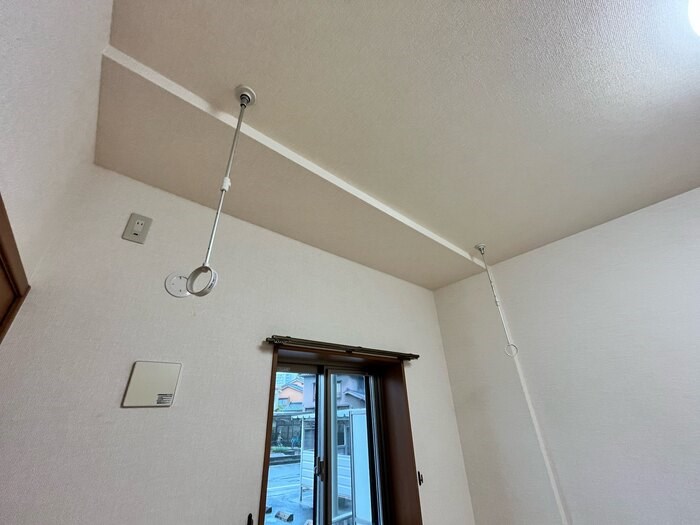 セリージャデトーア その他10