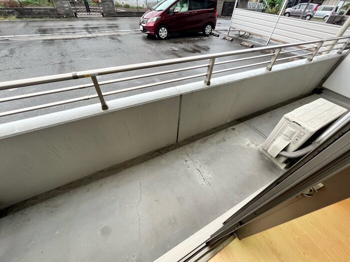 セリージャデトーア その他11